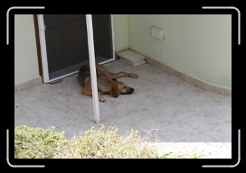 08-23-10 356 * 1728 x 1152 * (365KB)